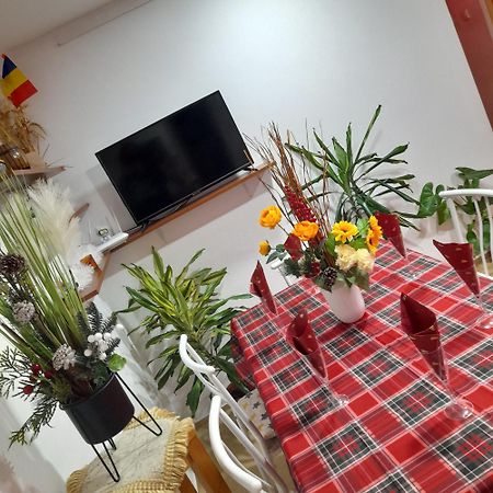 Apartment Boulevard Cetate Alba Iulia Buitenkant foto