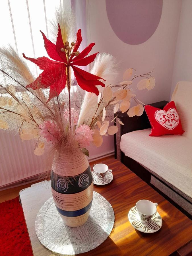 Apartment Boulevard Cetate Alba Iulia Buitenkant foto