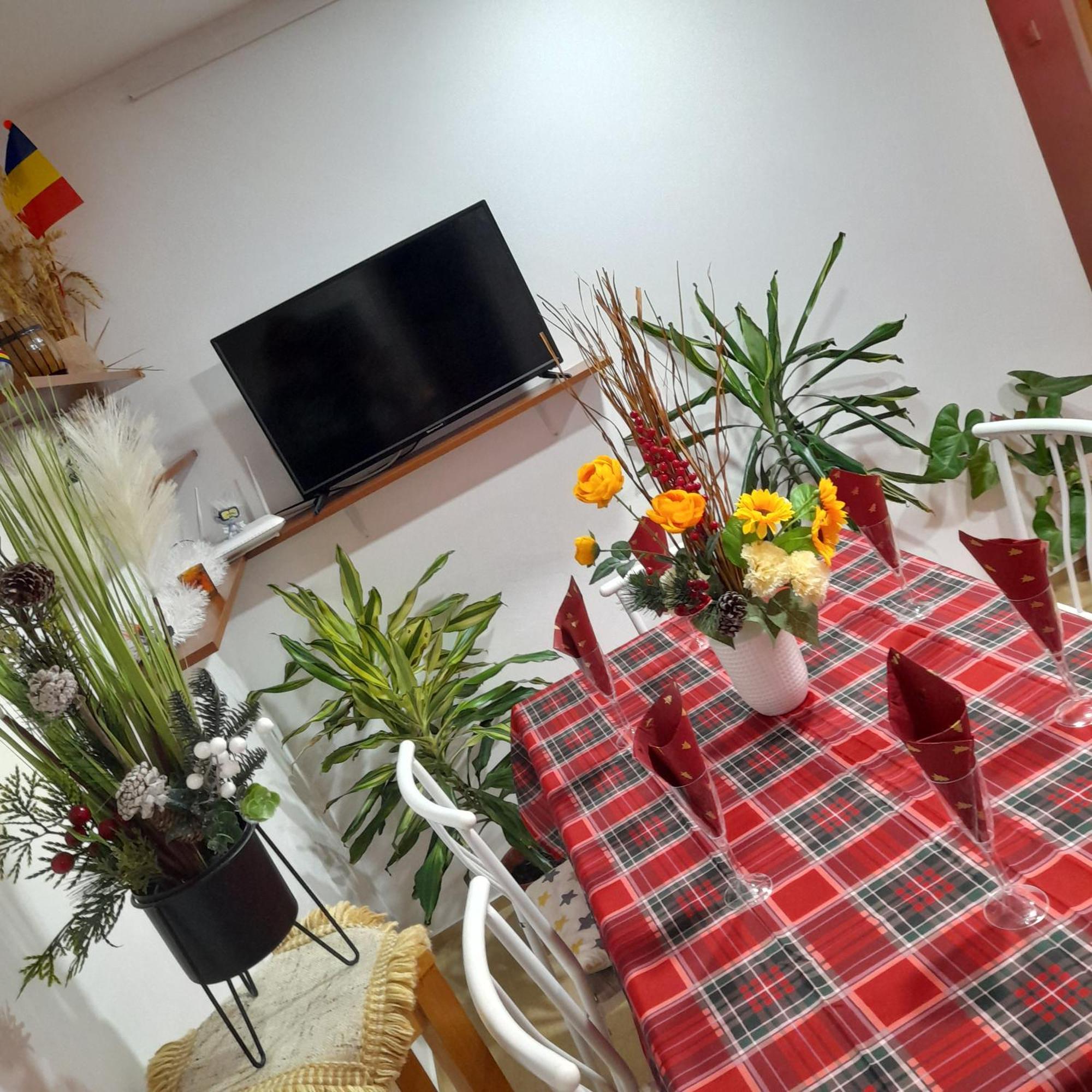 Apartment Boulevard Cetate Alba Iulia Buitenkant foto